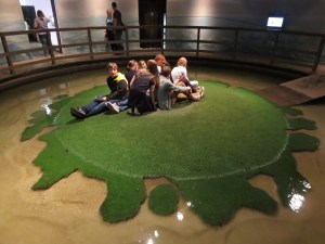 Applūstošā pasaule (ūdens līmenis tiešām mainās)