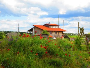Sieben Linden vasarā