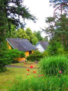 Ciemata centrā esošās mājiņas