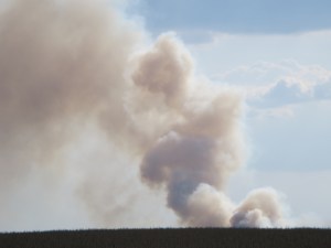 Ugunsgrēks tālumā